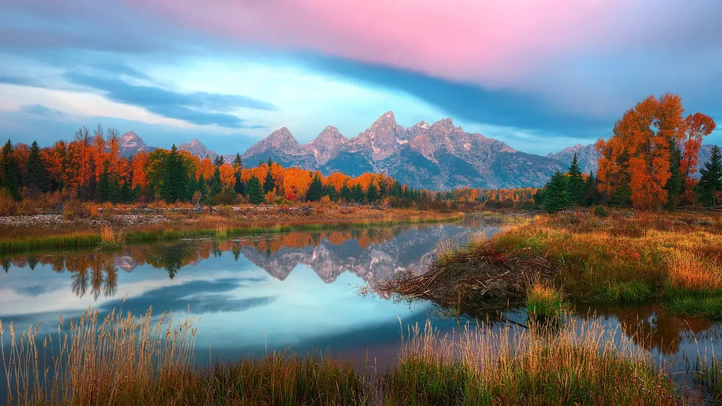 高端智能制造